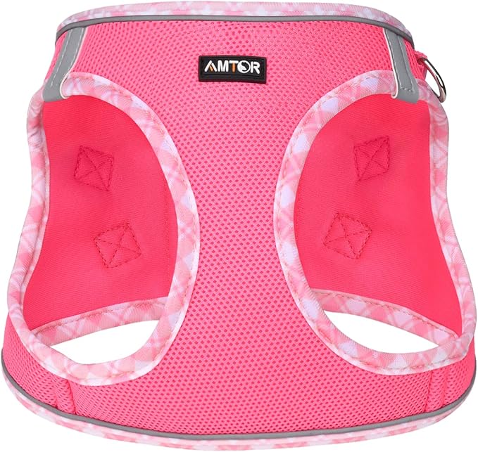 AMTOR Small Dog Harness with Leash Set, No Escape Easy Walk Puppy Harnesses for Training Walking, Step-in Reflective Soft Dogs Vest for XS S Medium Extra-Small Large Sized Dog(Fuchsia,XS)