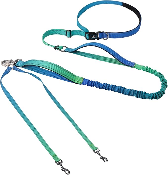 Roses&Poetry Hands Free Double Dog Leash for Two Dogs, 9-11ft Adjustable Bungee Walking Waist Lead, Dual Dog Leash with Tangle-Free Swivel for Medium Large Dogs Heavy Duty Running(Bluegreen)