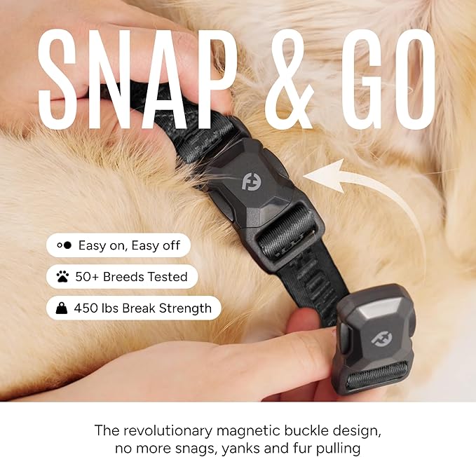 2026 New Edition, Fei & Eve MagEase Dog Collar - Patented Magnetic Buckles | Fur-Safe | Premium 210D Nylon | 450LB Escape-Proof | Adjustable Fit | Medium (Black)