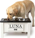 GTW Personalized Elevated Dog Bowl Stand for Large, Medium, Small, X-Small Dogs - Stainless Steel Food and Water Bowls - Raised Dog Dish with Internal Storage (Large, Black)