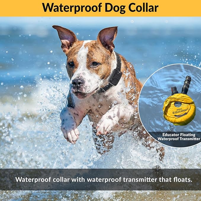 E-Collar – Educator ET-300-1/2 Mile Waterproof Remote Dog Training Collar Includes Premium Finger Clicker Trainer, 100 Programmable Levels + Vibration + Light + Sound, Teal