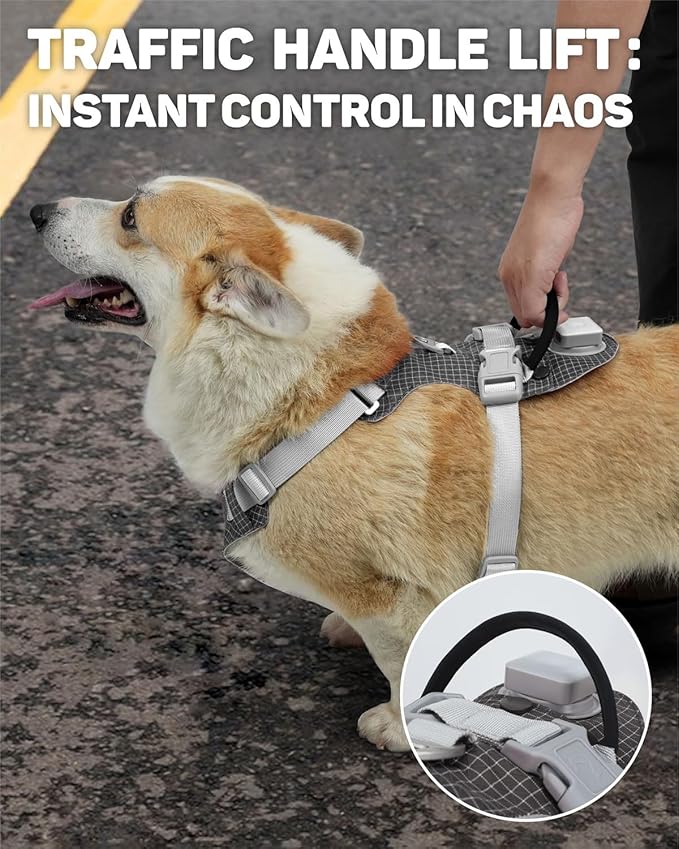 TagME No Pull Dog Harness with 2 Leash Clips,Lightweight & Visible for All-Day Walking, No Choke Pet Vest Includes AirTag Holder for Medium Dogs,Black