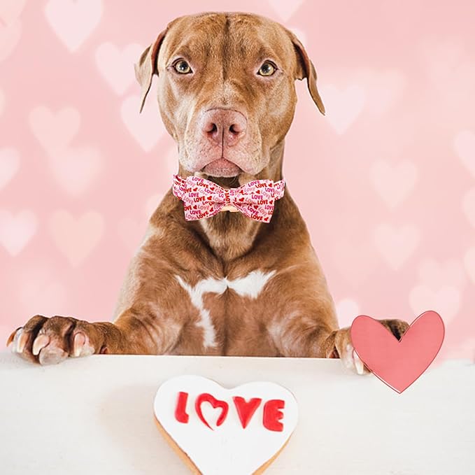 Elegant little tail Valentine's Dog Collar, Heart Dog Collar Cute Girl or Boy Puppy Collars Bowtie Pet Gift Adjustable Pet Collars for Large Dogs