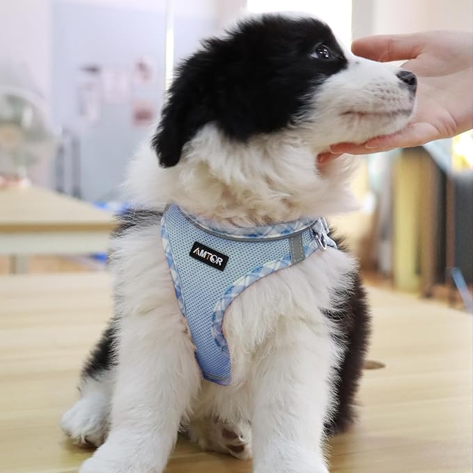 AMTOR Small Dog Harness with Leash Set, No Escape Easy Walk Puppy Harnesses for Training Walking, Step-in Reflective Soft Dogs Vest for XS S Medium Extra-Small Large Sized Dog(L Size,Blue/White)