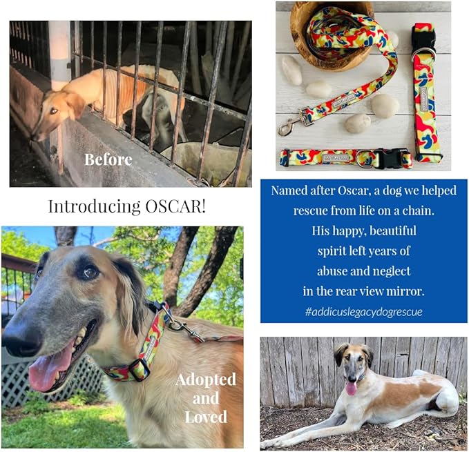 Lucky Love Dog Martingale Dog Collar - Adjustable, No-Slip, Durable, & Soft Webbing Collar for Male and Female Dogs Ideal for Training & Walking - Oscar, Small