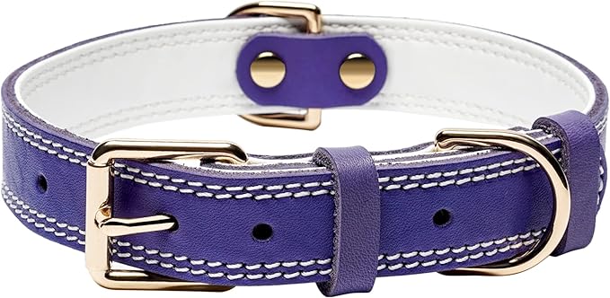 Genuine Leather Dog Collar, Heavy Duty Wide Dog Collar for Small, Medium, Large and Extra Large Dog (S: 0.8" Wide for 13.4"-15.8" Neck, Dual Stitch - Purple)
