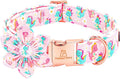 Lionheart glory Dog Collar with Flower Dinosaurs Print Collars for Large Dogs, Spring Summer Cute Duty Adjustable Dog Flowers Collar Puppy Collars Bows Pet Gift