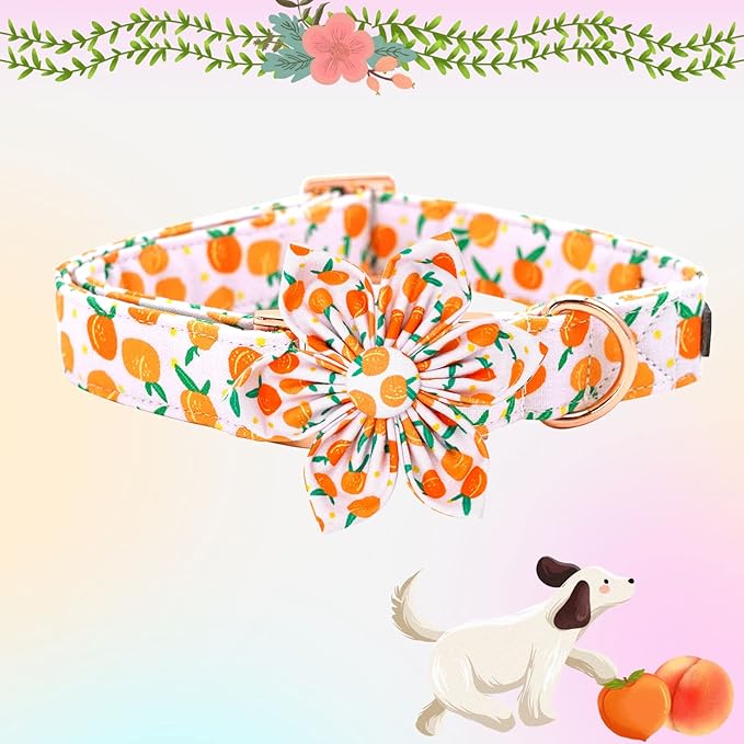 Elegant Peach Cute Pink Flower Dog Collar - Adjustable for X-Large Dogs