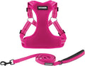 Best Pet Supplies Voyager Adjustable Step-in Flex Breathable Mesh Dog Harness for Small Medium Large Dogs Leash Set (Fuchsia), XL