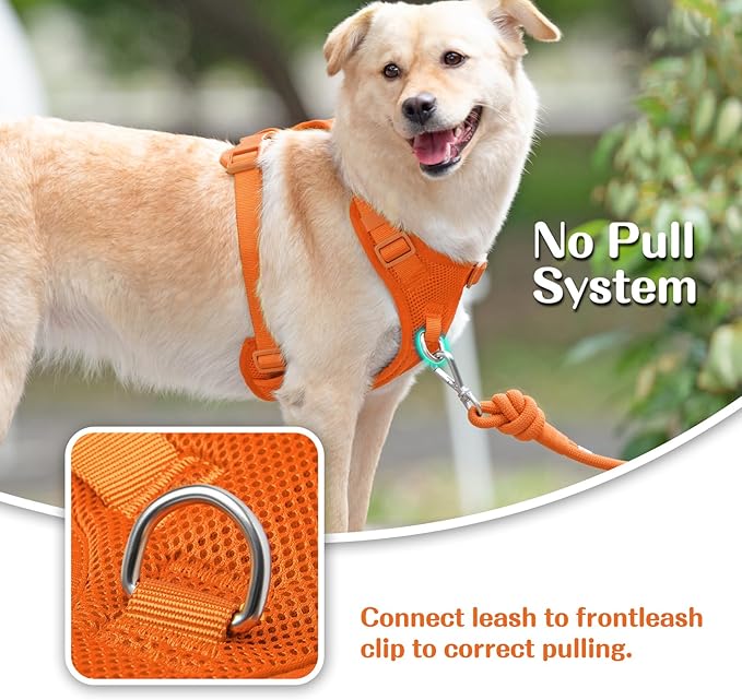 No Pull Dog Harness for Small Medium Large Dogs - Adjustable 2 Layer Mesh Dog Vest with Dual Clip, Escape Proof, Quick Release, Lightweight Breathable Mesh for Walking Hiking (Orange,S)