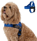 DF Co. Dog Harness | Chafe Resistant Webbing, Adjustable Neck & Chest, and Heavy Duty D-Ring | Sturdy, Comfortable, Easy to Use | Classic Blue, Size XL