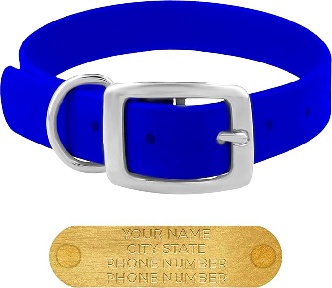 Regal Dog Products Large Blue Waterproof Dog Collars with Custom Engraved Name Plate | Vinyl Coated, Anti, Easy to Clean Personalized Biothane Dog Collar - Other Sizes for Small & Medium Dogs