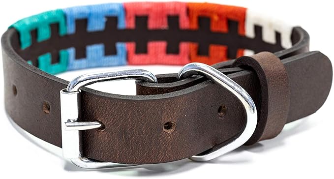 Gaucho Goods Tribal Leather Dog Collar - Zephyr (S)