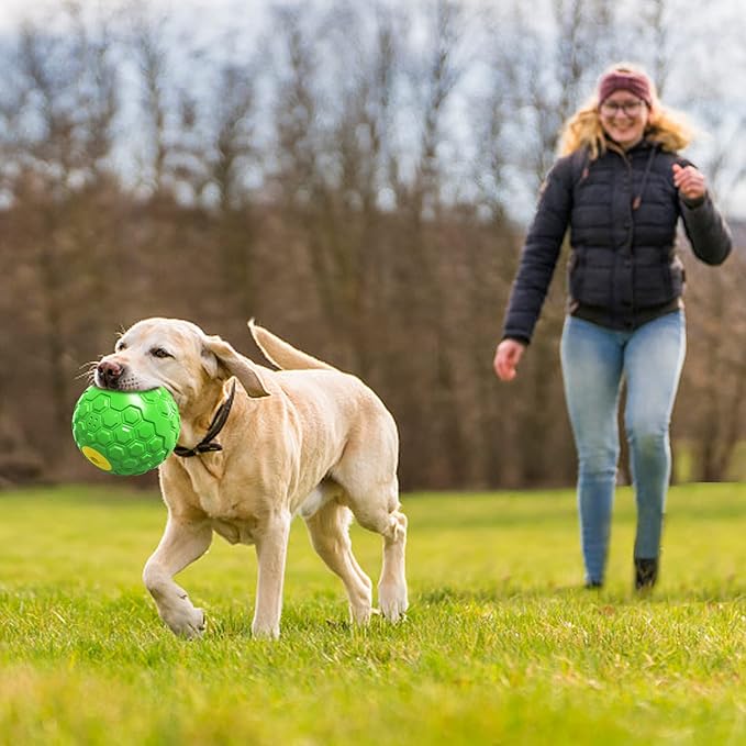 GOLDROC Dog Puzzle Toy – Durable Squeaky Chew Toy for Medium & Large Dogs, Treat Dispenser for Slow Feeding & Interactive Play (Green)