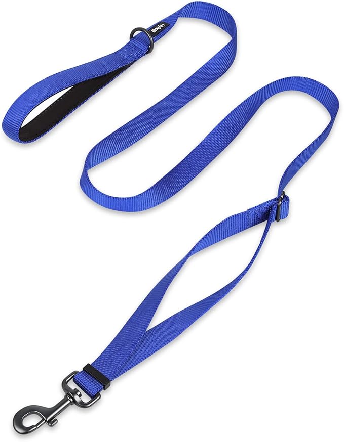 Hyhug Pets Premium Upgraded Adjustable Between 4 Feet and 6 Feet Leash with Sturdy Nylon and Super Soft Neoprene Lined Handle for Small Medium Large Dogs Lead