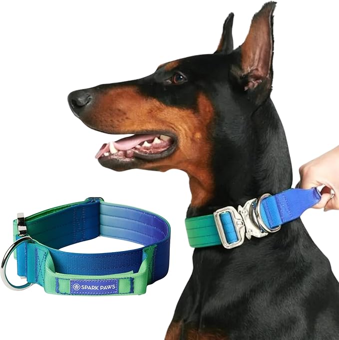 Spark Paws Tactical Dog Collar - Heavy Duty, Premium Quality, Thick and Durable for Large and Medium Dogs - Lime Wave - S