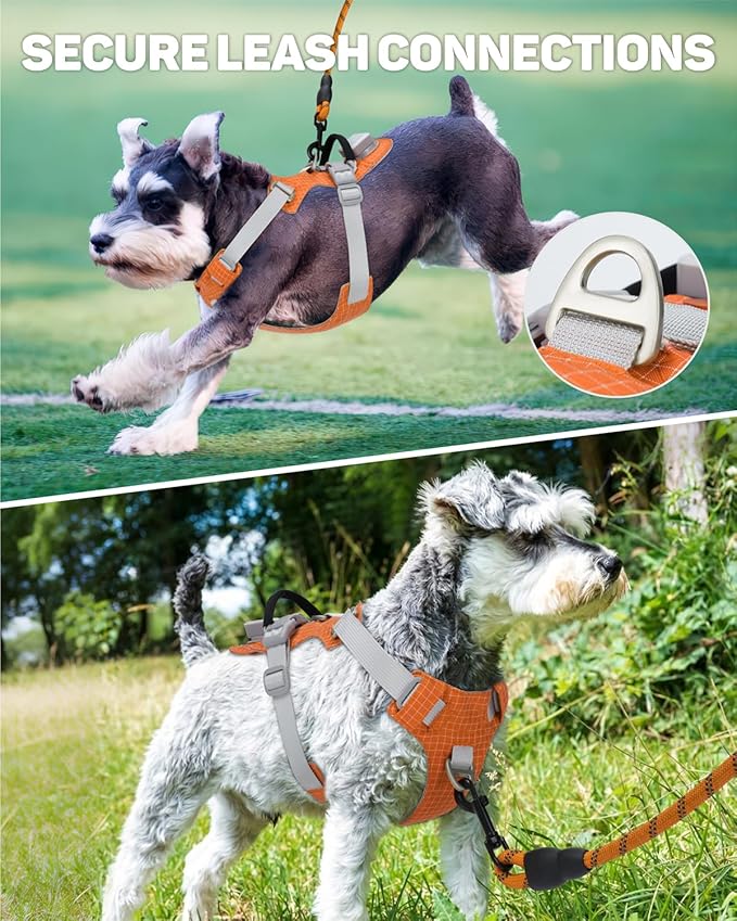 TagME No Pull Dog Harness with 2 Leash Clips,Lightweight & Visible for All-Day Walking,No Choke Pet Vest Includes AirTag Holder for Puppy,Flare Orange