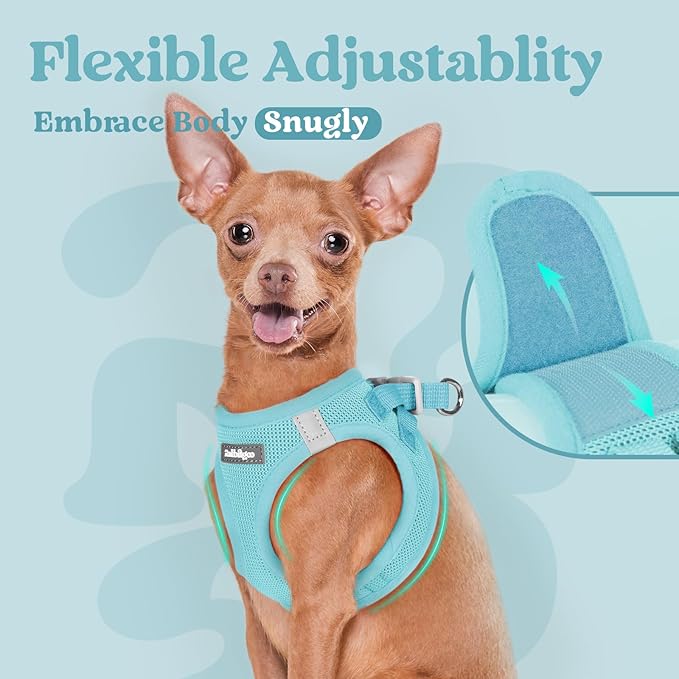 rabbitgoo Small Dog Harness, Step-in Soft Mesh Puppy Vest with Safety Buckle, Breathable Reflective Pet Harness for Small Sized Dogs, Mint Blue S