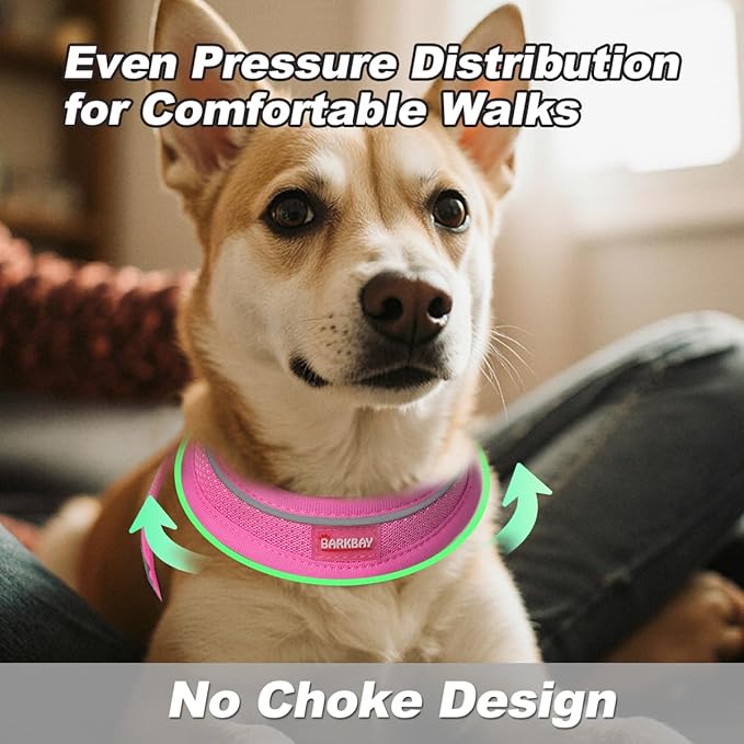 Dog Harness and Leash Set,Step in Small Sized Dog Harness,Soft Mesh,No-Chock,Reflective Adjustable,Secure with Hook & Loop Fastener,Puppy Vest for Small,Medium Dogs(Pink,M)