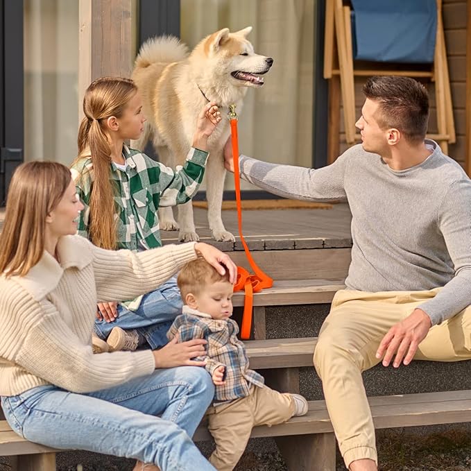 Viper K9 Biothane Working Dog Leash Waterproof Lead for Tracking Training Schutzhund Dog Sport & Search - Odor-Proof Long Line with Solid Brass Snap for Puppy Medium and Large 3/8" x 10ft HunterOrange