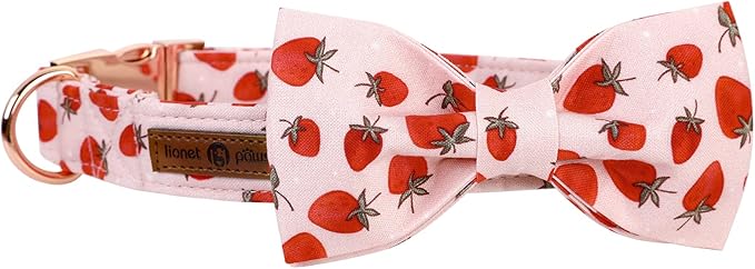 Lionet Paws Dog Collar with Bowtie - Summer Cute Cotton Adjustable Bowtie Dog Cat Collar with Metal Buckle for Puppy Girl Boy, XS, Neck 8-12in