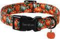 Unique style paws Dog Collar Plastic Buckle with Pendant Halloween Oil Painting Pumpkin Party Puppy Collars for Small Medium Large Boys Girls Dogs