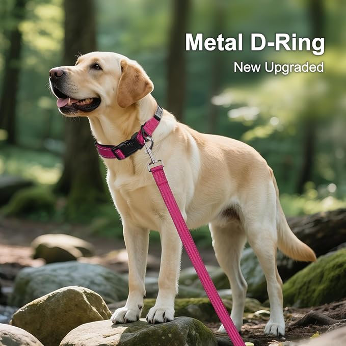 Joytale Personalized Dog Collars with Engraved Name Plate, Silent No Jingle Custom Nylon Collar with Fixed ID Tag, Reflective Soft Neoprene Padded Breathable for XLarge Dogs, Hotpink