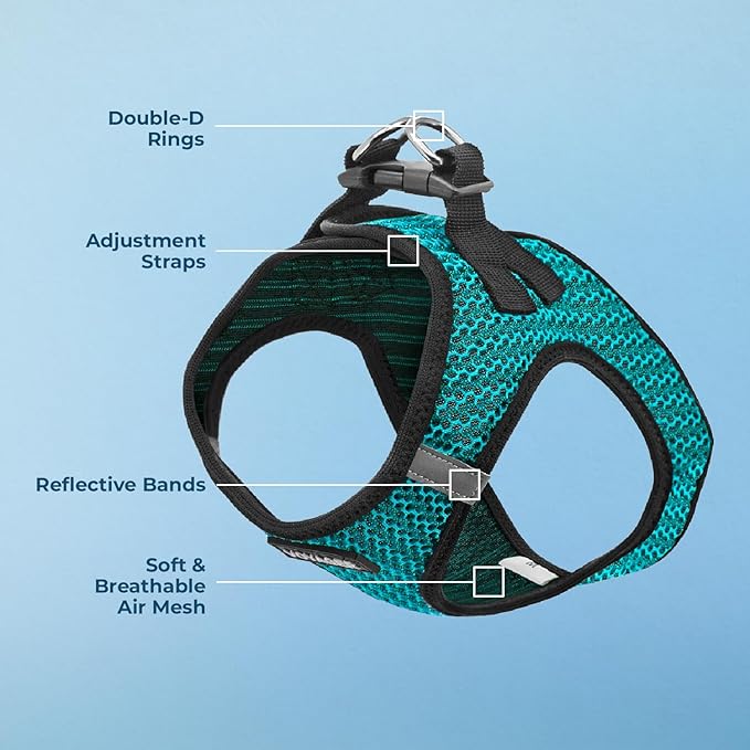 Best Pet Supplies Voyager Step-in Air Harness - All Weather Mesh, Reflective, No Pull Harness for Dogs, Cats - Secure with Hook & Loop Fastener, Buckle, Double D-Rings - Turqupise 2-Tone, M