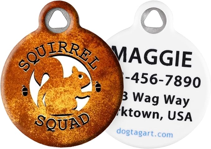 Dog Tag Art Squirrel Squad Personalized Pet ID Tag for Dogs and Cats, Silent Polymer Coated Stainless Steel Nametag with Customized Identification Information - Small .875" Diameter
