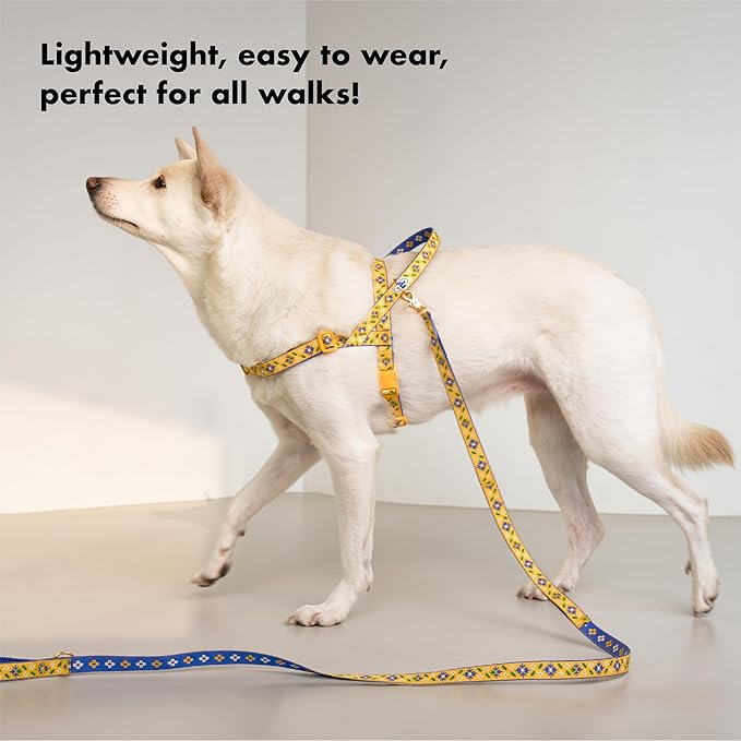 Signature Dog Leash – 63in Durable Double-Sided Jacquard Webbing, Ergonomic 0.8in Grip, Safety-Tested Hardware – Made in Korea (Basic, Peony)