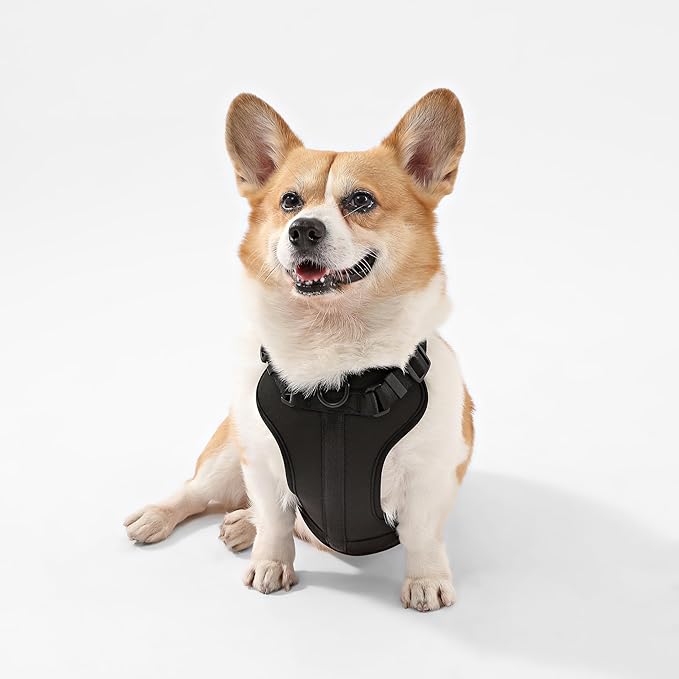 HNS1002I Arlo Medium Adjustable Soft Padded No Pull Pet Harness with 3 Buckles and 3 Leash Clips, Bitters
