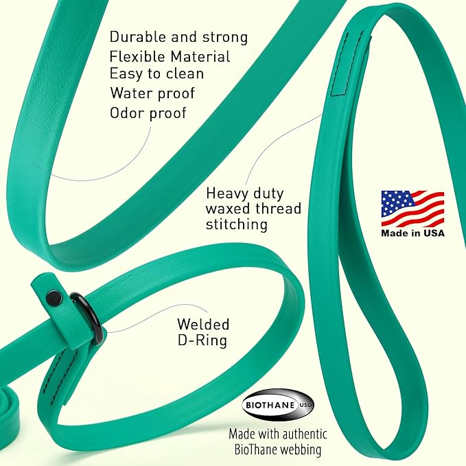 Dogline Biothane Slip Dog Leash - for Small, Medium and Large Dogs - Odor Free Slip Lead, Heavy Duty and Durable Material Kennel Lead - Teal - 5ft L x 3/8in W