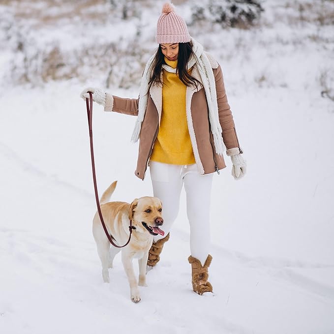 Dogline Biothane Slip Dog Leash - for Small, Medium and Large Dogs - Odor Free Slip Lead, Heavy Duty and Durable Material Kennel Lead - Merlot Burgundy - 5ft L x 3/8in W