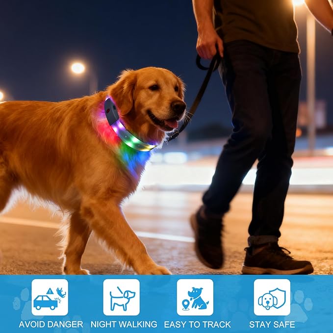 Lighted Dog Collar, Rechargeable Light Up Pet Collar, Waterproof LED Dog Collar Glow in The Dark, Make Pet Visible and Safety for Night Walking for Small Medium Large Dogs (Rainbow)