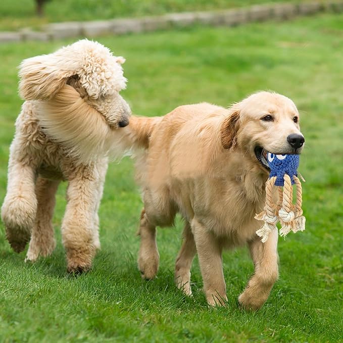 Cute Marine Animal Dog Squeaker Chew Toys, Interactive Stuffed Cotton Plush Rope Knot Toys with Crinkle Paper- for Puppy, Small, Middle Dogs (Blue Octopus)