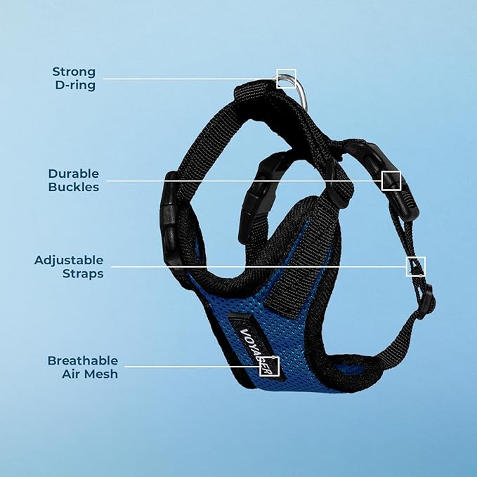 Voyager Step-in Pet Harness - All Weather Mesh, Adjustable Step in Harness for Cats and Dogs by Best Pet Supplies - Royal Blue/Black Trim, S