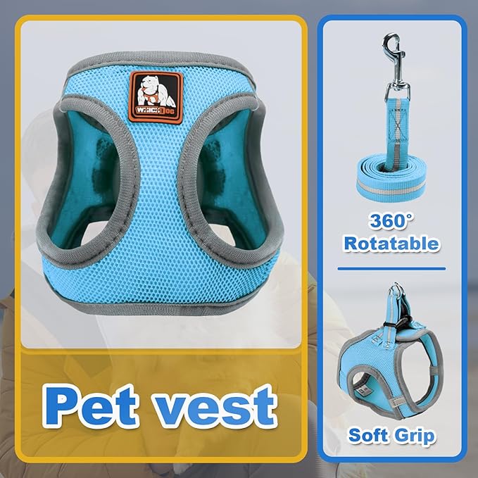 Dog Harness Medium Sized Dogs, Puppy Harness and Leash Set for Training, Running, Walking, Suitable for Small and Medium Dog Vest, Blue, L