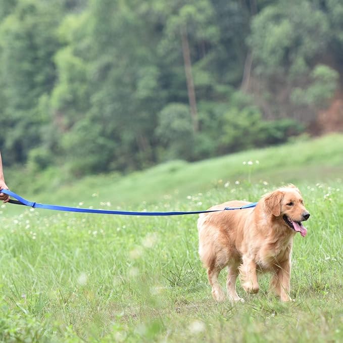 Hyhug Pets Premium Upgraded Adjustable Between 4 Feet and 6 Feet Leash with Sturdy Nylon and Super Soft Neoprene Lined Handle for Small Medium Large Dogs Lead
