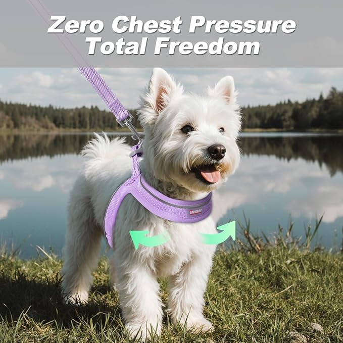 Dog Harness and Leash Set,Step in Small Sized Dog Harness,Soft Mesh,No-Chock,Reflective Adjustable,Secure with Hook & Loop Fastener,Puppy Vest for Small,Medium Dogs(Violet Purple,XXS)