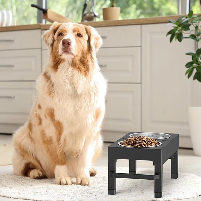 Elevated Dog Bowls, 4 Height Adjustable Raised Bowl Stand with 2 Stainless Steel 7" Food Feeder Bowls for Small Medium and Large Dogs