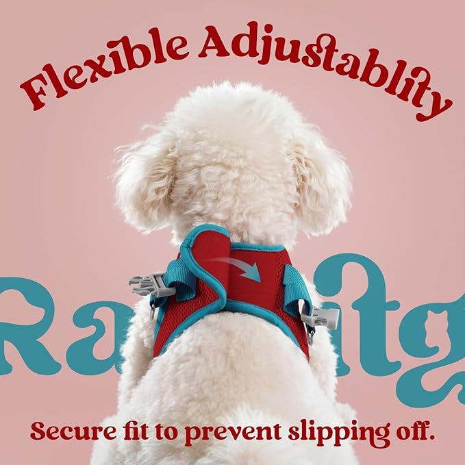 rabbitgoo Dog Harness Small Sized and Leash Set, Step-in Breathable Pet Harness, Soft Walking Reflective Puppy Vest for Small Dogs, Red & Teal, XXS