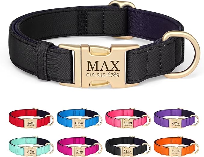 PET ARTIST Colorful Personalized Dog Collars, Custom Dog Collar with Silent Engraved ID Tag, Lightweight Breathable Nylon & Soft Padded, Matching Leash & Poop Bag for Medium Dogs,Black,M Fit 13-20"