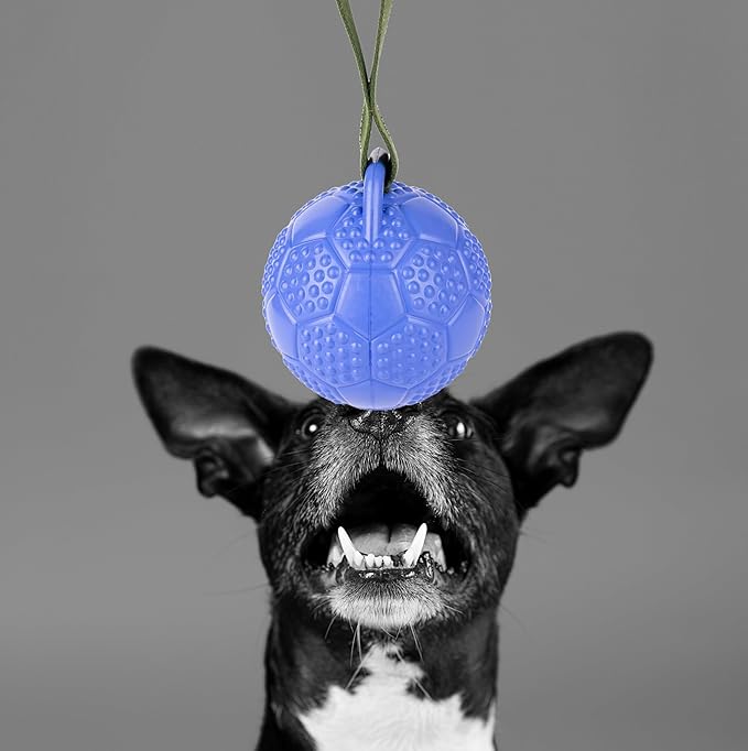 Eco Rubber Chuck & Treat Soccer Ball - Blue - Long Lasting Dog Chew Toys for Aggressive Chewers Strong Dog Toy for Dogs Durable Puppy Toys