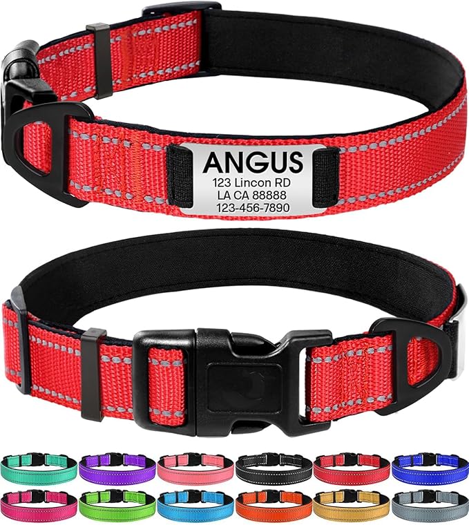 Joytale Personalized Dog Collars with Engraved Name Plate, Silent No Jingle Custom Nylon Collar with Fixed ID Tag, Reflective Soft Neoprene Padded Breathable for Small Dogs, Red