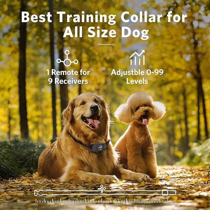 DOG CARE Shock Collar for Dogs - Dog Training Collar with Remote, 3 Training Modes, Rainproof, Security Lock, Long Remote Range, Rechargeable E-Collar for Small Medium Large Dogs All Breeds