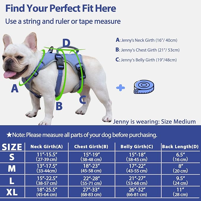 Huntboo Escape Proof Dog Harness, Escape Artist Harness, Reflective Dog Harness with Handle, Durable,Adjustable Vest for Small Medium Large Dogs Walking, Training, and Running Gear(Technicolor Blue,M)