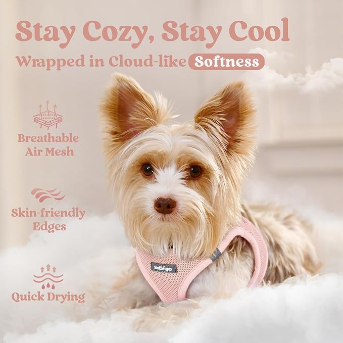 rabbitgoo Small Dog Harness, Step-in Soft Mesh Puppy Vest with Safety Buckle, Breathable Reflective Pet Harness for Small Medium Dogs, Pink XL