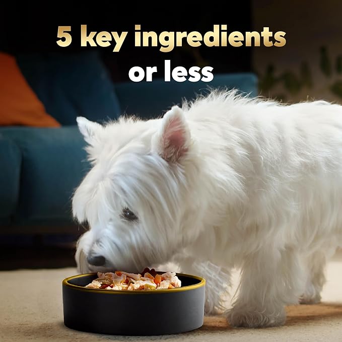 Cesar Simply Crafted Adult Wet Dog Food Toppers for Dry Food, Chicken, Carrots, Potatoes & Peas, 1.3 oz Tubs, 10 Count