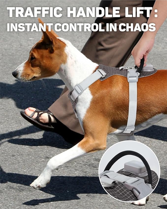 TagME No Pull Dog Harness with 2 Leash Clips,Lightweight & Visible for All-Day Walking, No Choke Pet Vest Includes AirTag Holder for Small Dogs,Black
