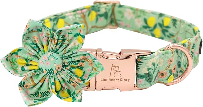 Lionheart Glory Cute Lemon Floral Pattern Adjustable Dog Collar for Small Dogs